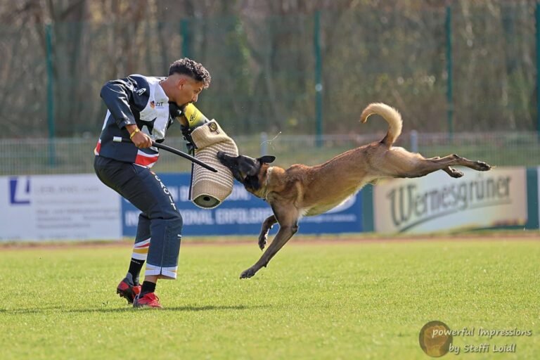 2f0258b1-354f-47f8-aa83-568d7b7a524a