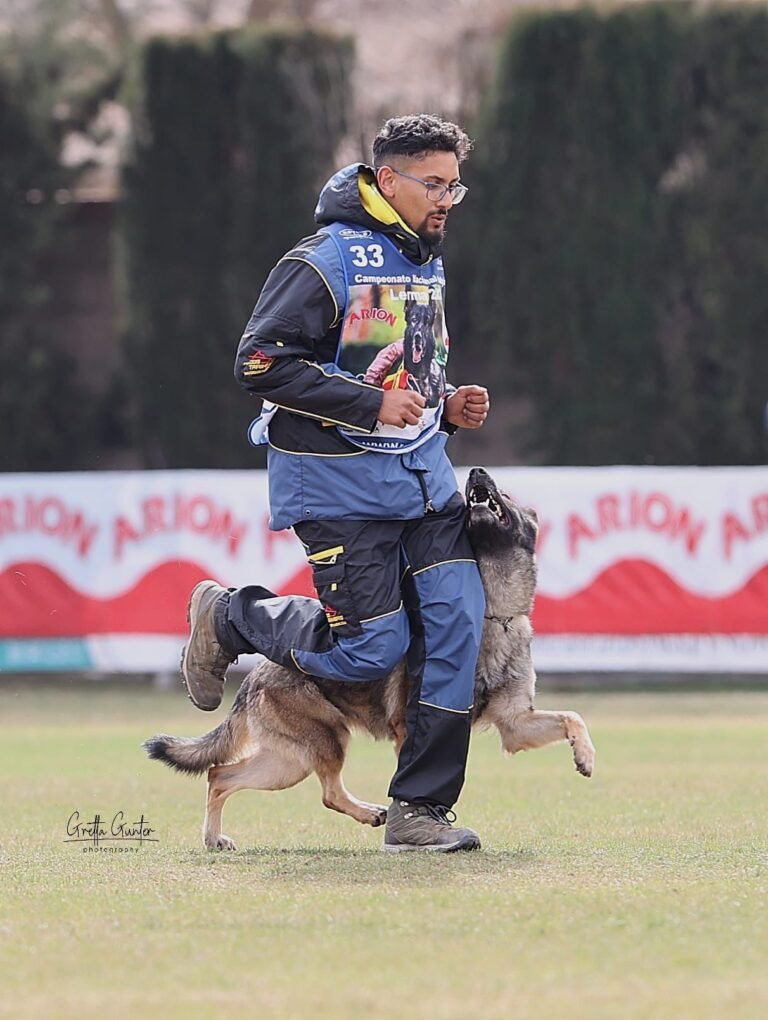 3860e342-9f9c-4492-ba1c-064ee063e47c