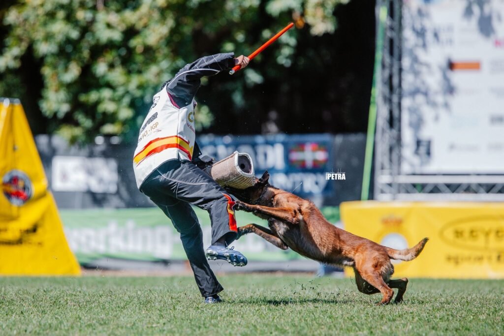 4653a496-b7fa-49a4-be5f-409d437cd965