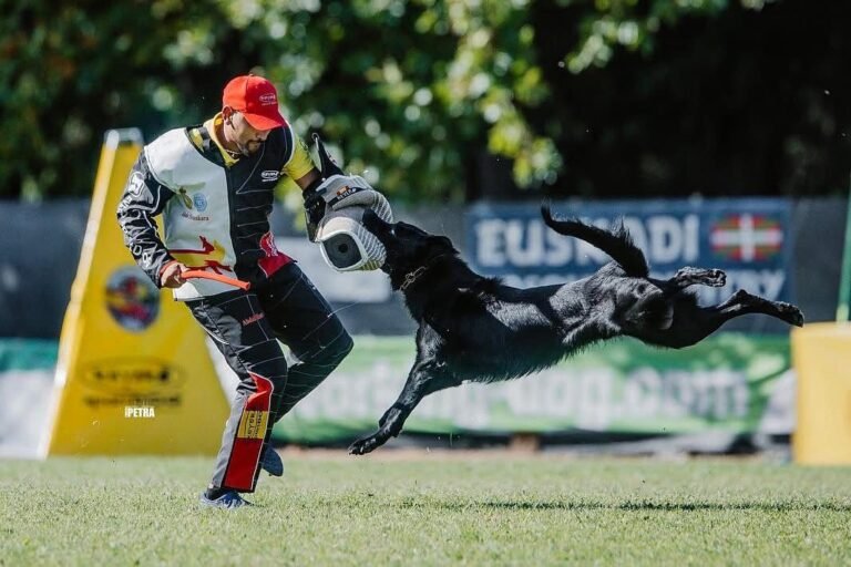 88e9392f-0a85-48e0-85f5-edf8266ad1d4