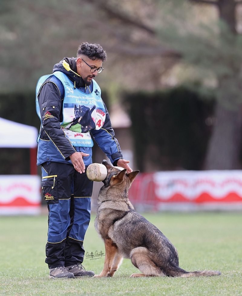 784cf408-6928-4aab-ace7-54150409561b